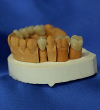 Dental---011-011.png